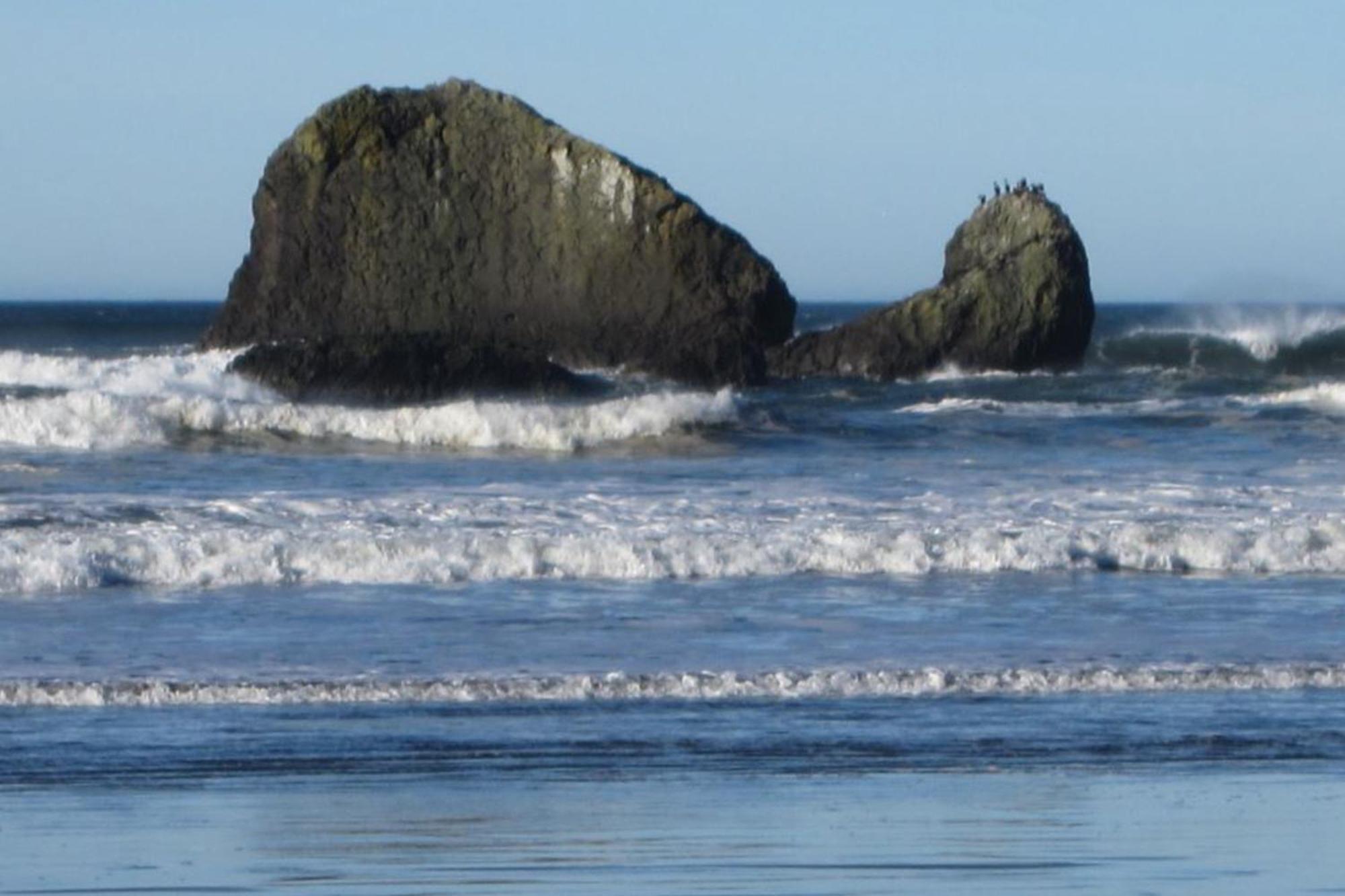 Rocks Cabin Copalis Beach Exterior photo