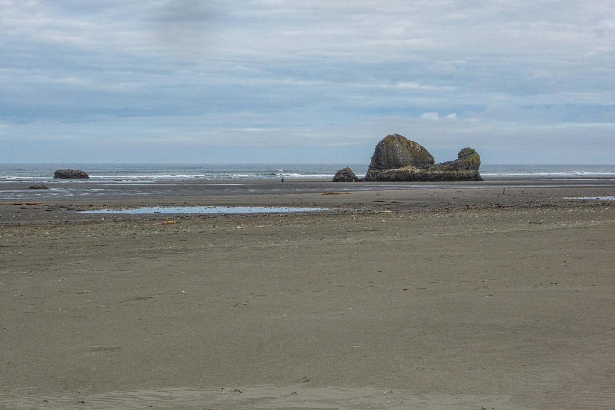 Rocks Cabin Copalis Beach Exterior photo